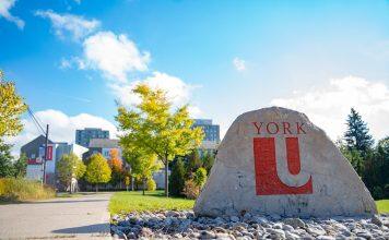 加拿大约克大学无语言双录取AP+YUB/AP+PDY 项目