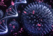 美国南加州大学新发现进一步解释新冠病毒如何攻陷免疫系统