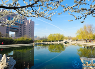 2021年山东理工大学2+2国际本科可以去新西兰留学吗?