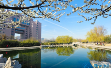 2021年山东理工大学2+2国际本科可以去新西兰留学吗?