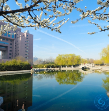 2021年山东理工大学2+2国际本科可以去新西兰留学吗?