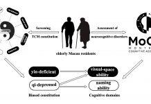 澳门大学的研究团队首次揭示中医体质与澳门长者认知功能障碍之间存在明显相关性