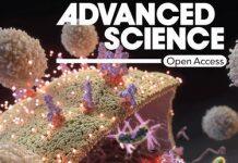 韩国汉阳大学尹彩玉教授参与的共同研究组开发出为癌症免疫治疗的新细胞凋亡诱导体