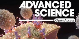 韩国汉阳大学尹彩玉教授参与的共同研究组开发出为癌症免疫治疗的新细胞凋亡诱导体