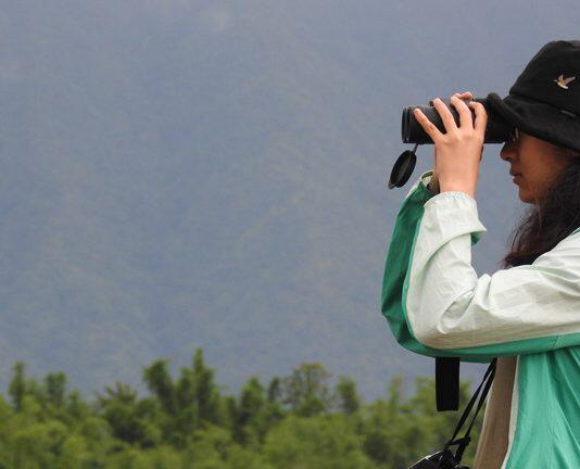 一篇90分毕业论文是怎么写成的?黑龙江姑娘揭秘宁波家燕的“快乐老家”