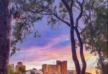 2021世界宜居城市排名出炉,阿德莱德宜居世界排名第三、全澳第一