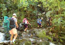 花一年时间就能拿下的新西兰商科硕士学位都在这里了!