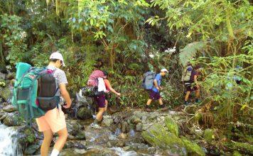 花一年时间就能拿下的新西兰商科硕士学位都在这里了!