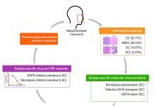 澳门大学的鼻咽癌精准治疗取得重大突破