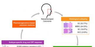 澳门大学的鼻咽癌精准治疗取得重大突破
