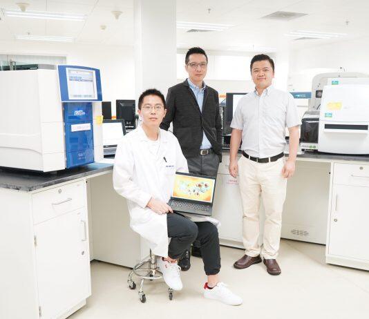 澳门大学与香港浸会大学共同研发可加速糖尿病伤口愈合的稳定剂