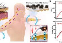 澳门大学研发出自供电可穿戴仿生触觉传感器