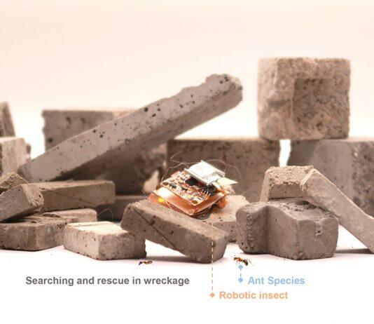 澳门大学学者成功研发高敏捷电子昆虫机械人