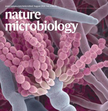 澳门大学真菌研究新突破有助减低免疫力弱人群受真菌感染