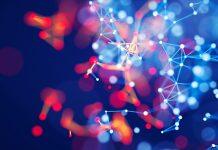 蒙纳士大学的科研人员在可穿戴电子设备领域取得了世界上首次突破