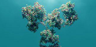 蒙纳士大学为你揭秘减肥的“神秘开关”