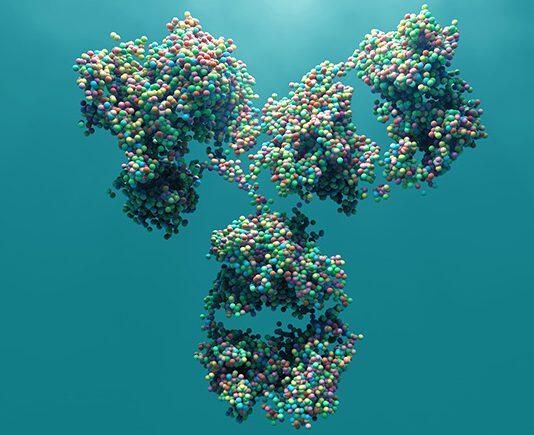 蒙纳士大学为你揭秘减肥的“神秘开关”