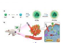 澳门大学研发新型纳米酶技术可提高免疫治疗效果