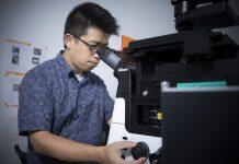 澳门大学研发创新磷光探针 助精准切除肿瘤