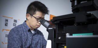 澳门大学研发创新磷光探针 助精准切除肿瘤