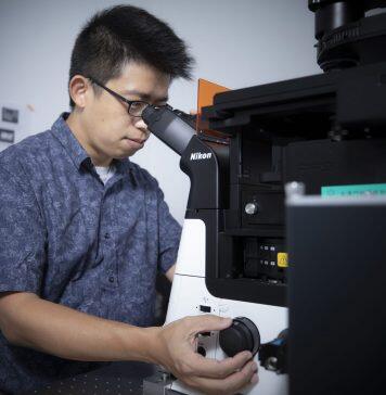 澳门大学研发创新磷光探针 助精准切除肿瘤