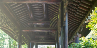 英国诺丁汉大学执行校长席若·韦斯特教授荣获“宁波市荣誉市民”称号