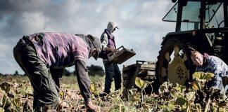 赫尔大学专家讨论气候变化与现代奴隶制之间的联系