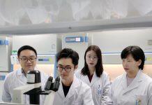 澳门大学的研究团队成功研发新型纳米药物