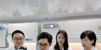 澳门大学的研究团队成功研发新型纳米药物