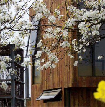 美国辛辛那提大学建筑系学生在国际设计建造合作上崭露头角