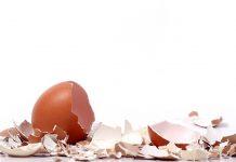 科研新发现:蛋壳有望成为可再生能源储能新方案