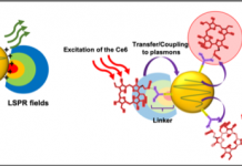 汉阳大学李东润教授开发出治疗脑肿瘤的新平台