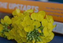 肯恩大学发出公告免GRE要求的2022年教育领导学(教育学专业博士)