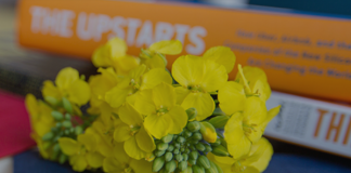 肯恩大学发出公告免GRE要求的2022年教育领导学(教育学专业博士)