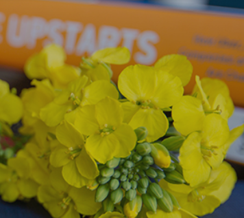 肯恩大学发出公告免GRE要求的2022年教育领导学(教育学专业博士)