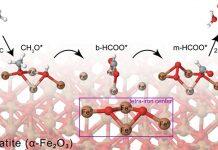 上海交通大学密西根学院两位教师入选上海市2022年度启明星计划扬帆专项