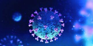 香港城市大学研究发现天气状况与较低的 COVID-19 死亡率之间的相关性