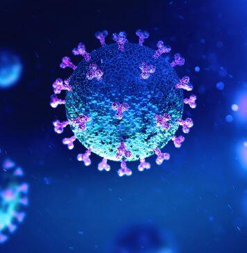 香港城市大学研究发现天气状况与较低的 COVID-19 死亡率之间的相关性