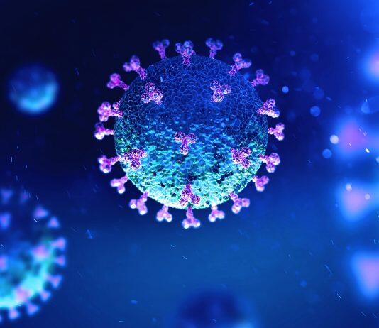 香港城市大学研究发现天气状况与较低的 COVID-19 死亡率之间的相关性