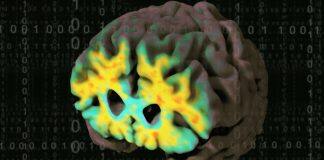 USC Stevens INI获巨资用于协调阿尔茨海默病的研究数据