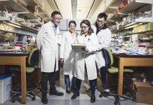 美国南加大Keck医学院研究人员设计一个独特的“孵化器”