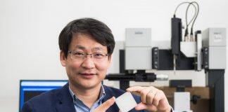 香港城市大学学者荣获绿色科技奖