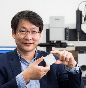 香港城市大学学者荣获绿色科技奖