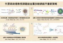 澳门大学开发新型系列金属多酚纳米粒能提升多种肿瘤治疗效果