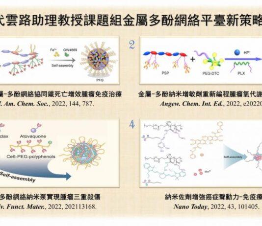 澳门大学开发新型系列金属多酚纳米粒能提升多种肿瘤治疗效果
