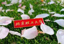 北京理工大学管理与经济学院国家级哲学社会科学基金重大项目获批取得佳绩