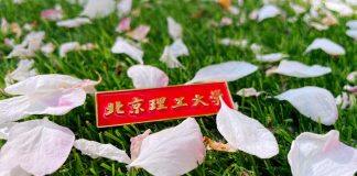 北京理工大学管理与经济学院国家级哲学社会科学基金重大项目获批取得佳绩