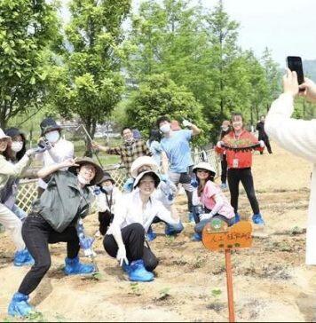 温州肯恩大学学子用劳动创造美丽校园