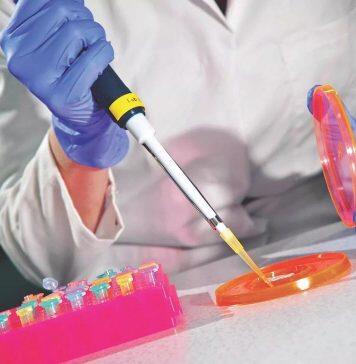 英国赫尔大学成为英国卓越研究排名提升最高的大学之一