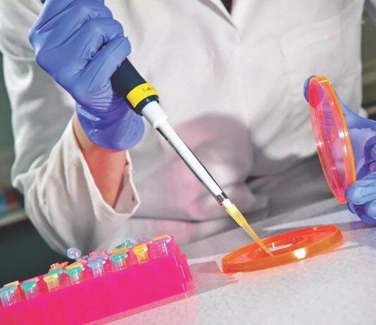 英国赫尔大学成为英国卓越研究排名提升最高的大学之一